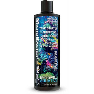 Brightwell Aquatics MicroBacter Start XLM 250ML